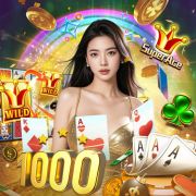 spinbookie