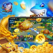7722bet login